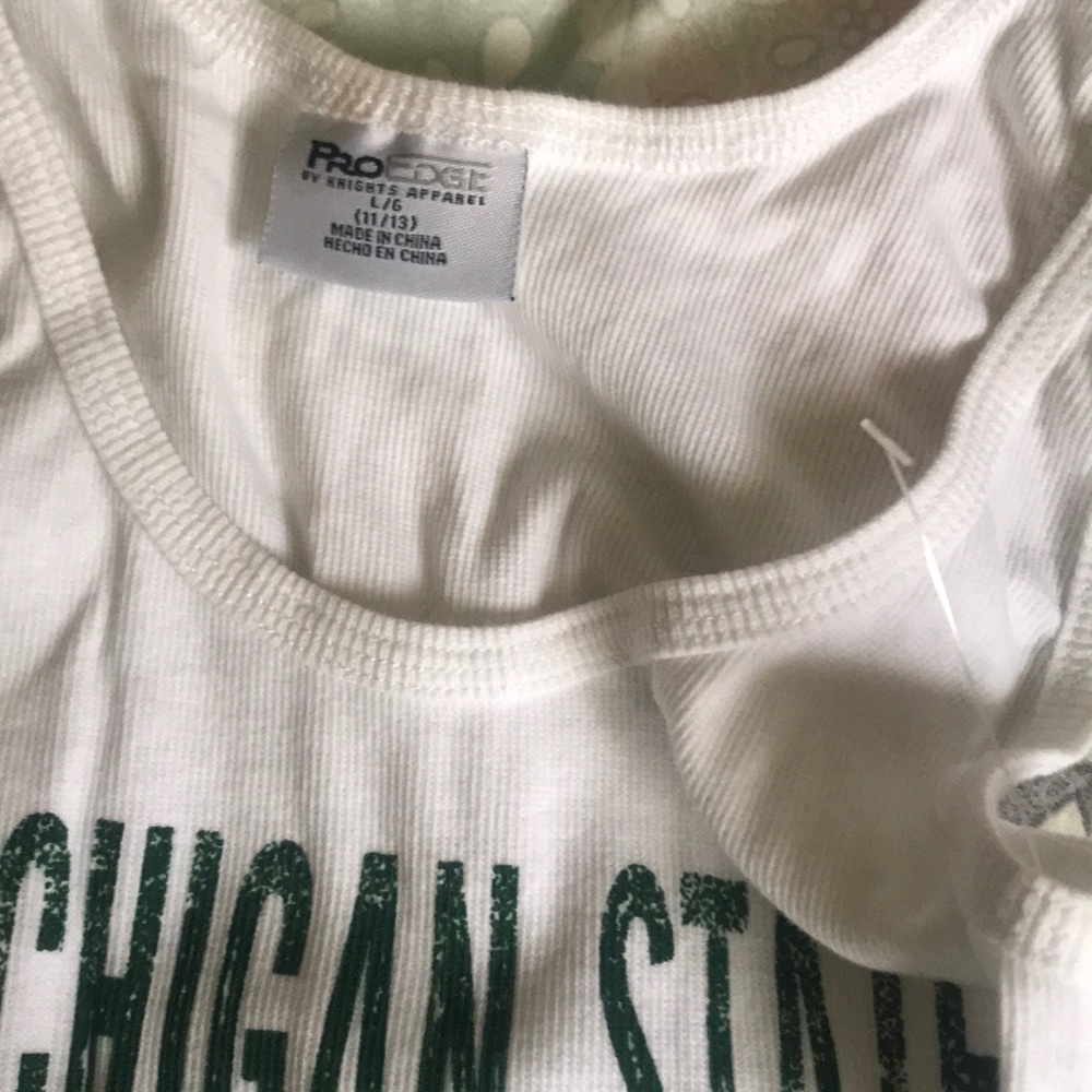 Michigan State Tank - Picture 2 of 2